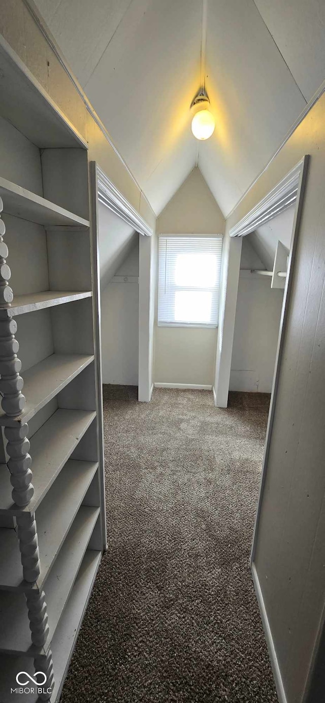 spacious closet featuring carpet and vaulted ceiling