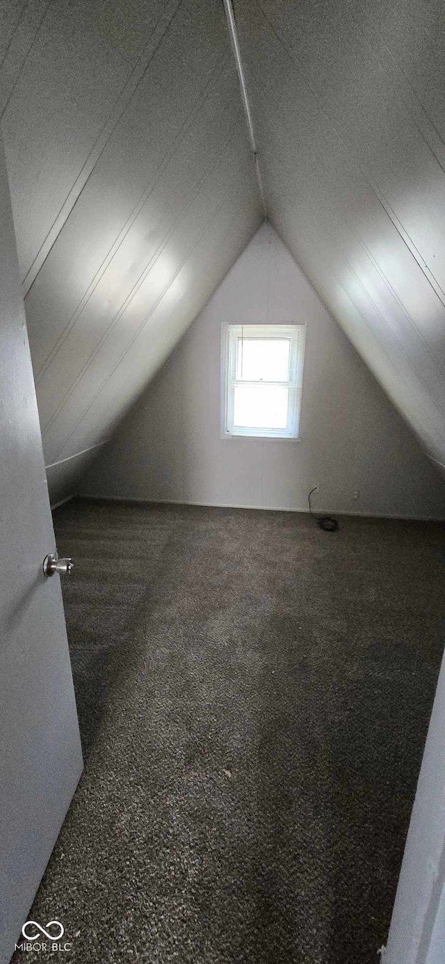 additional living space featuring carpet floors and lofted ceiling