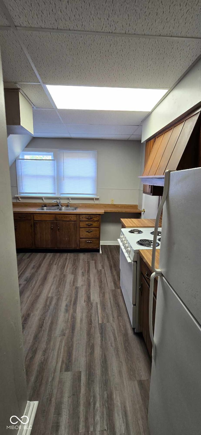 kitchen with dark hardwood / wood-style floors, a drop ceiling, white appliances, and sink