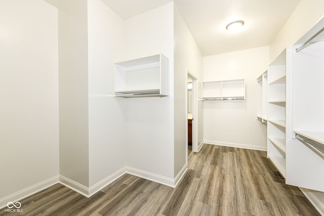 spacious closet with dark hardwood / wood-style flooring