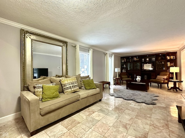 living room featuring ornamental molding and a textured ceiling