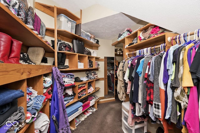 spacious closet with carpet