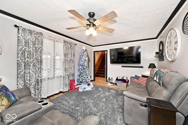 living room featuring ceiling fan, wood-type flooring, a textured ceiling, and ornamental molding