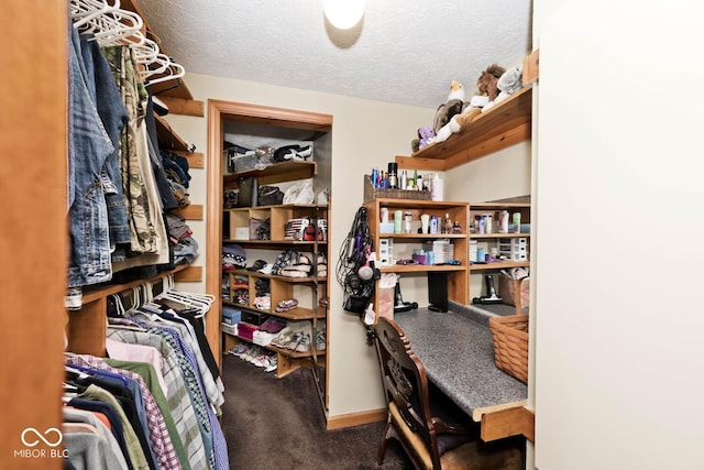 spacious closet featuring carpet floors