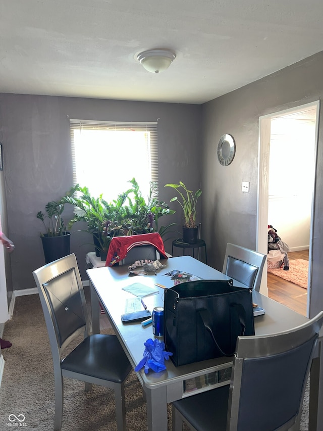 dining space with carpet floors