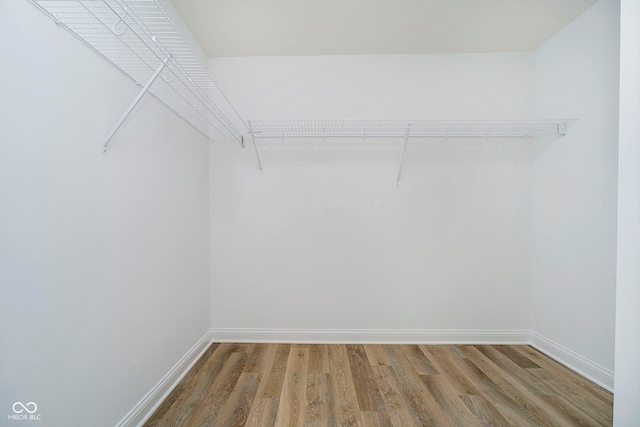 spacious closet with wood-type flooring