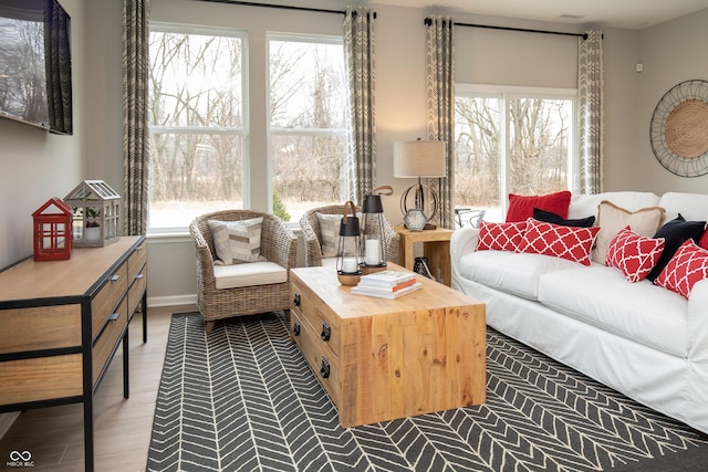 living room featuring hardwood / wood-style floors and plenty of natural light