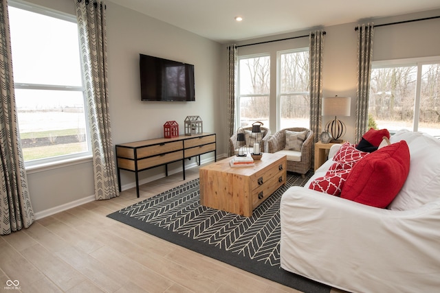 living room with light hardwood / wood-style floors and a wealth of natural light