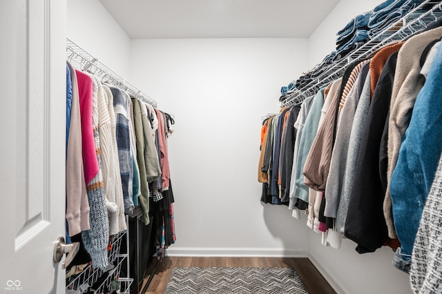 spacious closet featuring dark hardwood / wood-style flooring