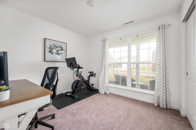 office with carpet and a healthy amount of sunlight