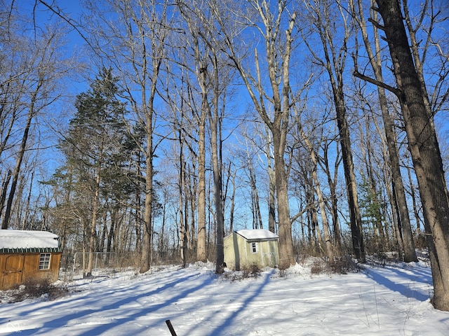 yard covered in snow featuring a storage unit