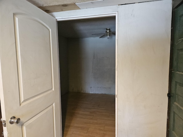 hall featuring wood-type flooring