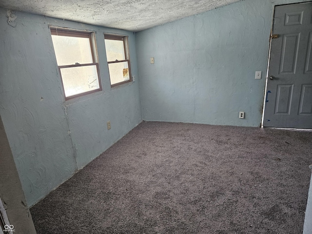 spare room featuring carpet flooring