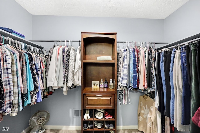 walk in closet with carpet