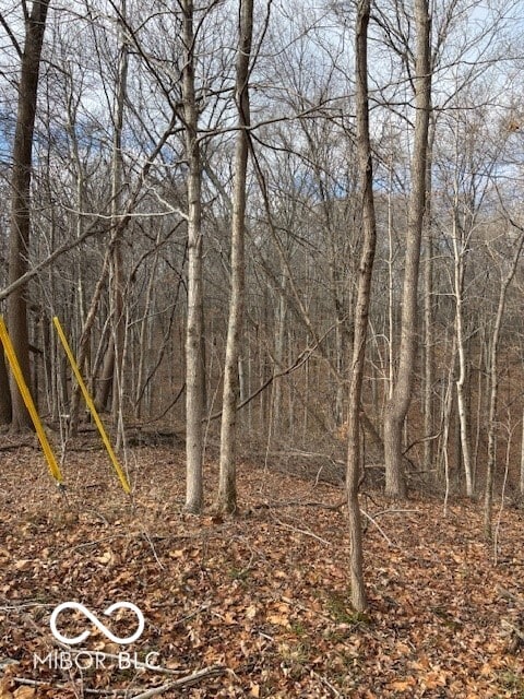 5967 S Lick Creek Rd, Morgantown, IN 46160 - view of undeveloped land