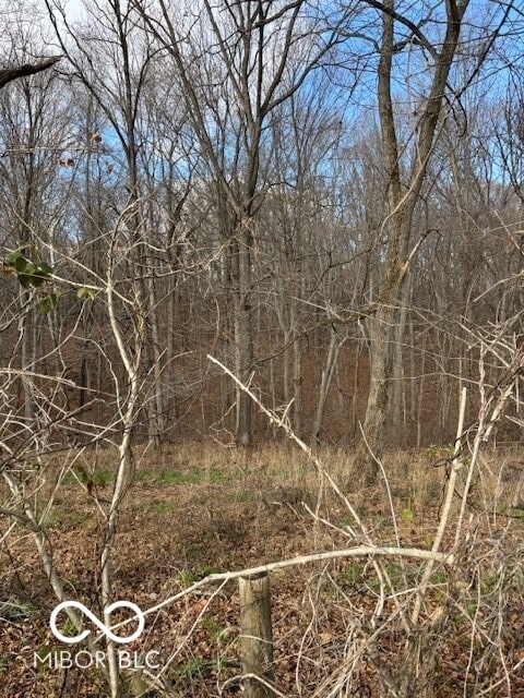 5967 S Lick Creek Rd, Morgantown, IN 46160 - view of undeveloped land