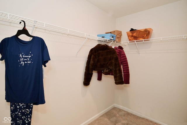 spacious closet with carpet floors