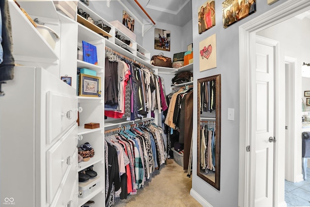 3441 S Overlook Pass, New Palestine, IN 46163 - spacious closet featuring carpet