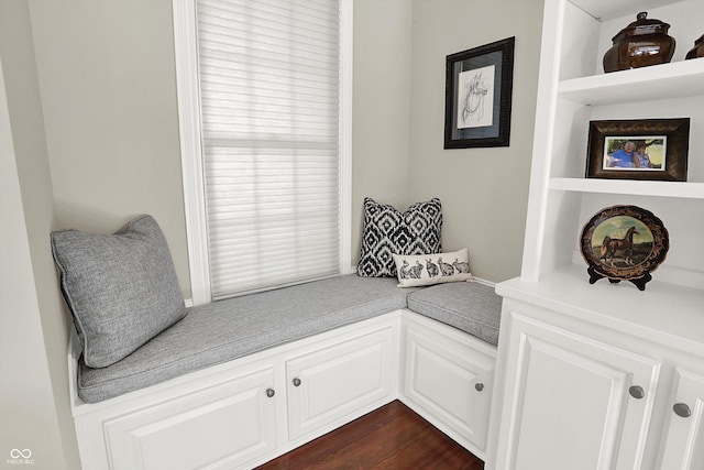 3441 S Overlook Pass, New Palestine, IN 46163 - sitting room featuring built in features