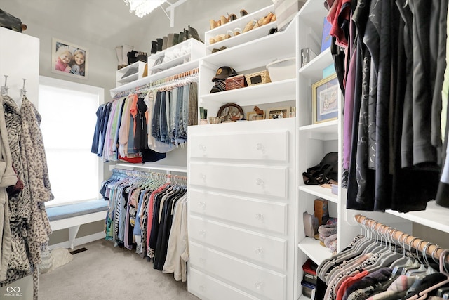 3441 S Overlook Pass, New Palestine, IN 46163 - walk in closet featuring light colored carpet