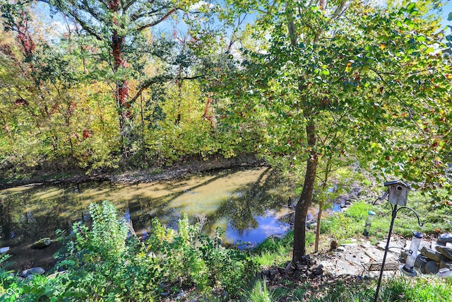 3441 S Overlook Pass, New Palestine, IN 46163 - water view