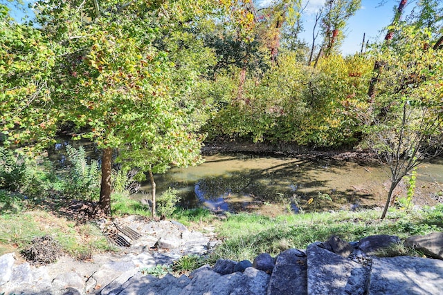 3441 S Overlook Pass, New Palestine, IN 46163 - view of yard