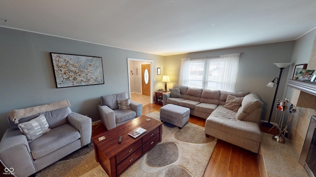 living room with light hardwood / wood-style flooring