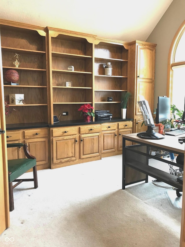 carpeted office featuring vaulted ceiling