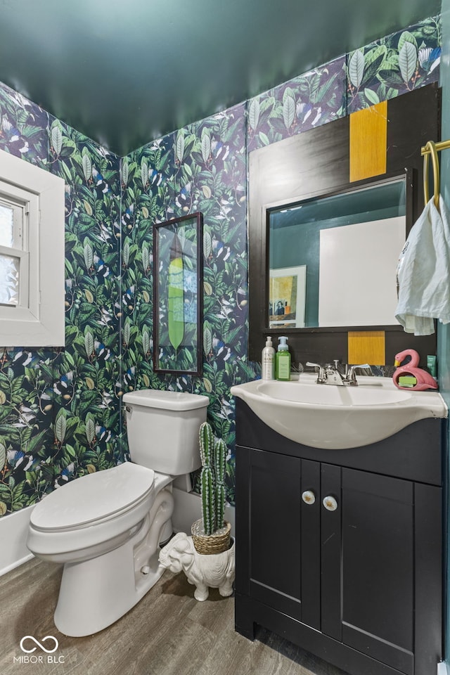 bathroom with vanity, wood-type flooring, and toilet