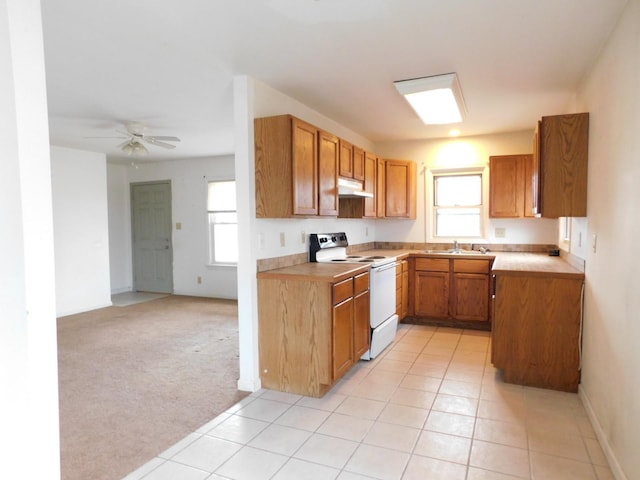 kitchen featuring electric stove, sink, light carpet, and ceiling fan