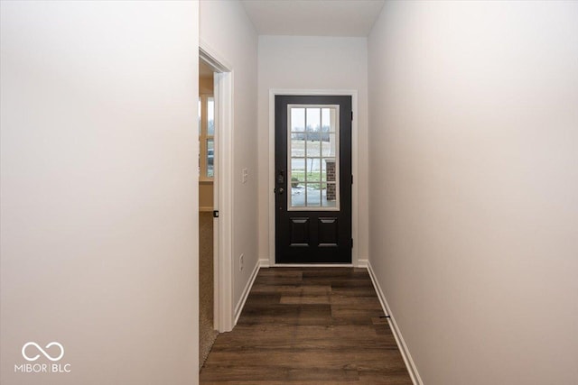 entryway featuring dark wood-type flooring