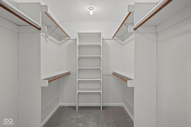 walk in closet featuring dark carpet