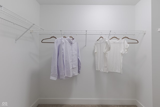 spacious closet with carpet