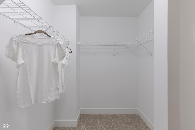 spacious closet featuring carpet