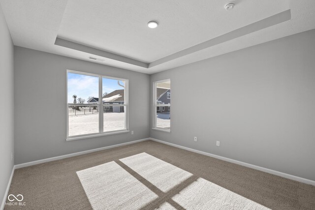 carpeted spare room with a textured ceiling and a raised ceiling