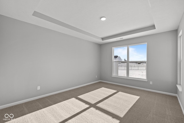 carpeted spare room featuring a raised ceiling