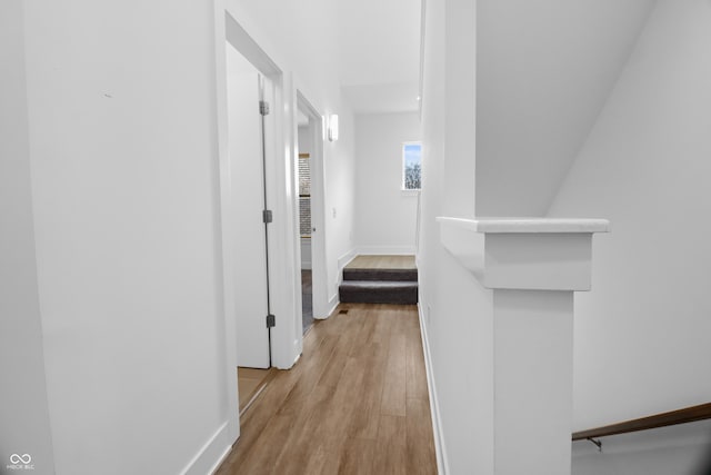 hall featuring light hardwood / wood-style floors