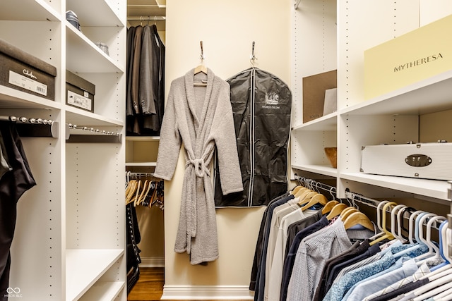 spacious closet featuring wood-type flooring