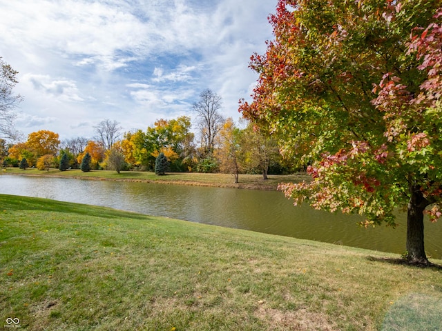 view of water feature