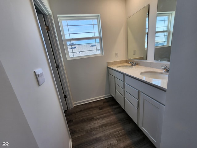 bathroom with hardwood / wood-style flooring and vanity