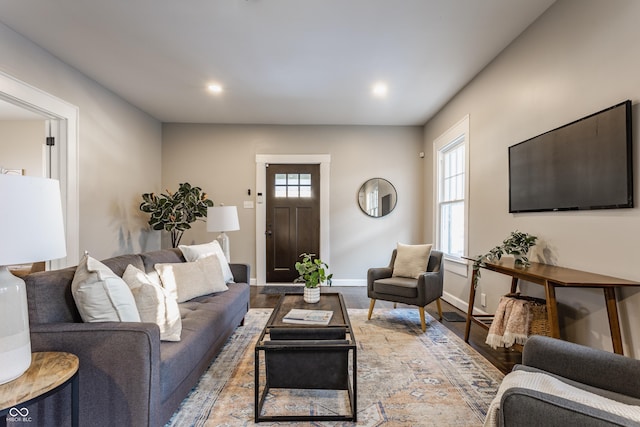 living room featuring hardwood / wood-style floors