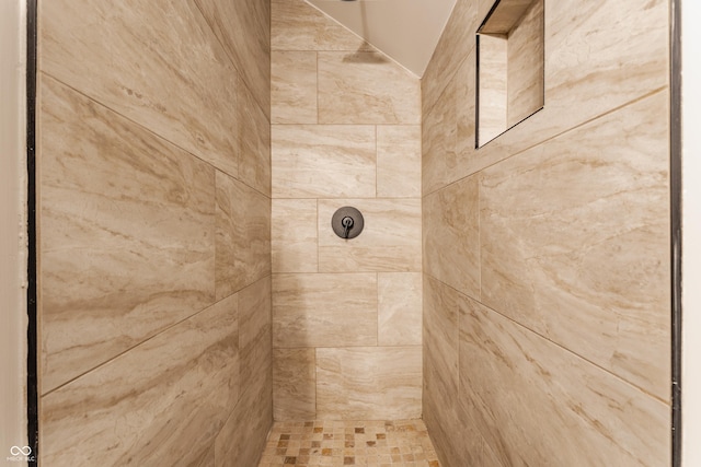 interior details with tiled shower