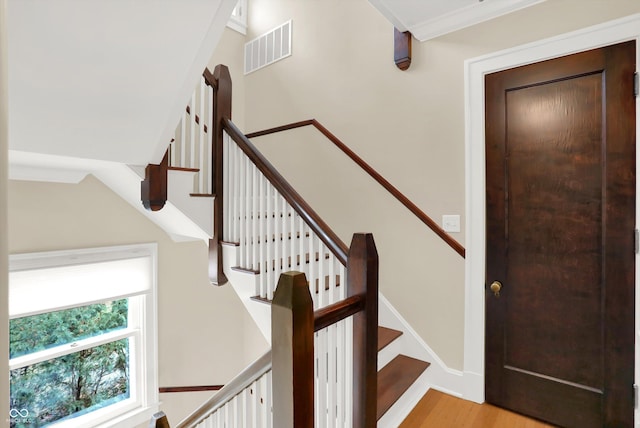 stairway with hardwood / wood-style flooring