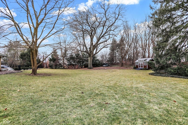 view of yard featuring a shed