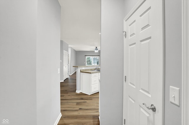 hall featuring hardwood / wood-style flooring and sink