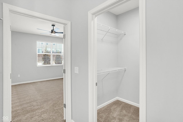 walk in closet with carpet and ceiling fan