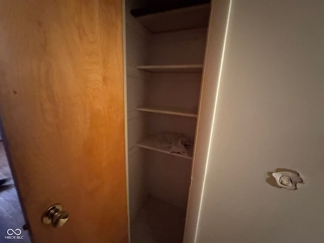 view of closet