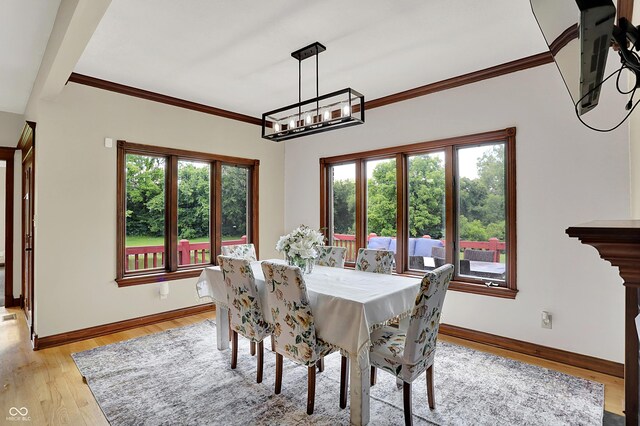 3592 W Smokey Row Rd, Bargersville, IN 46106 - dining room with healthy amount of natural light, light wood-type flooring, a chandelier, and crown molding