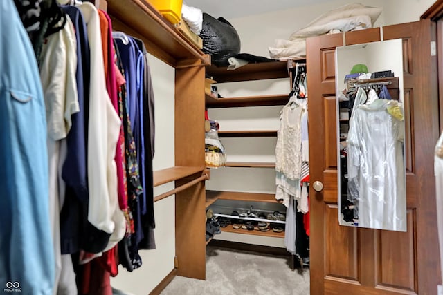 3592 W Smokey Row Rd, Bargersville, IN 46106 - spacious closet with carpet flooring