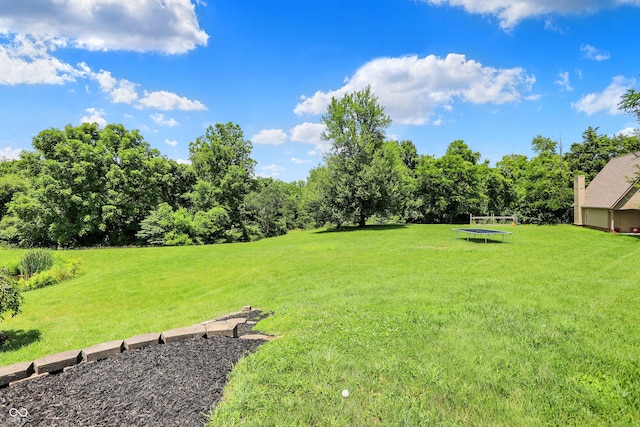 3592 W Smokey Row Rd, Bargersville, IN 46106 - view of green lawn with a trampoline